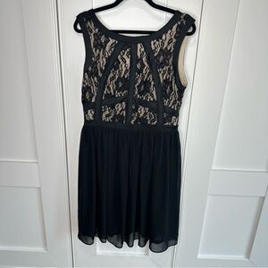 Beige by eci Elegant Black Lace Dress size 14 nwt (m1)